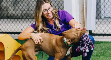 Celebrating 25 Years of PetSuites: A Legacy of Love, Care & Happy Tails
