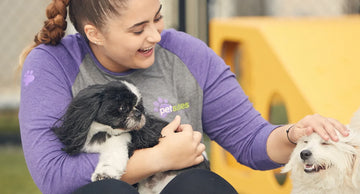 What Is Dog Daycare? A Complete Guide for Pet Parents