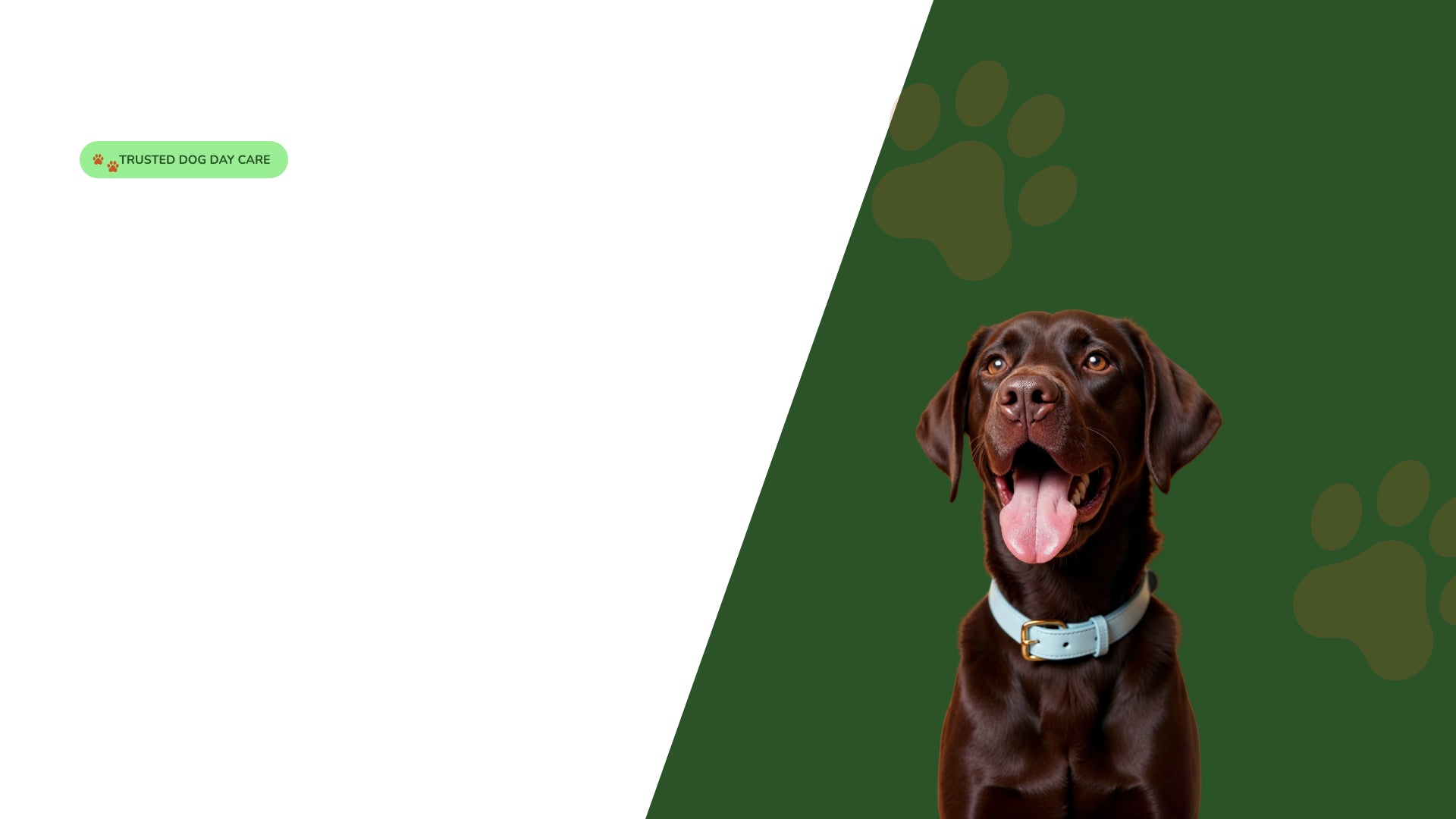 slider image slider_item_XJg8UL
