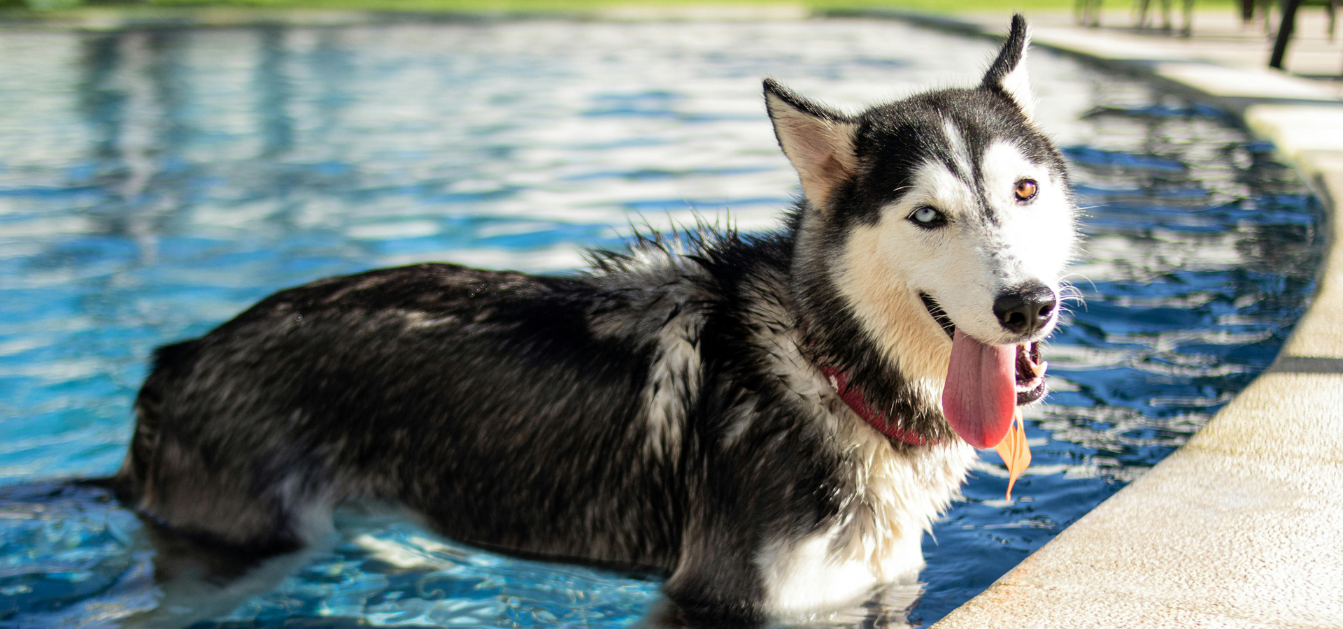 slider image slider_item_cEqrVx