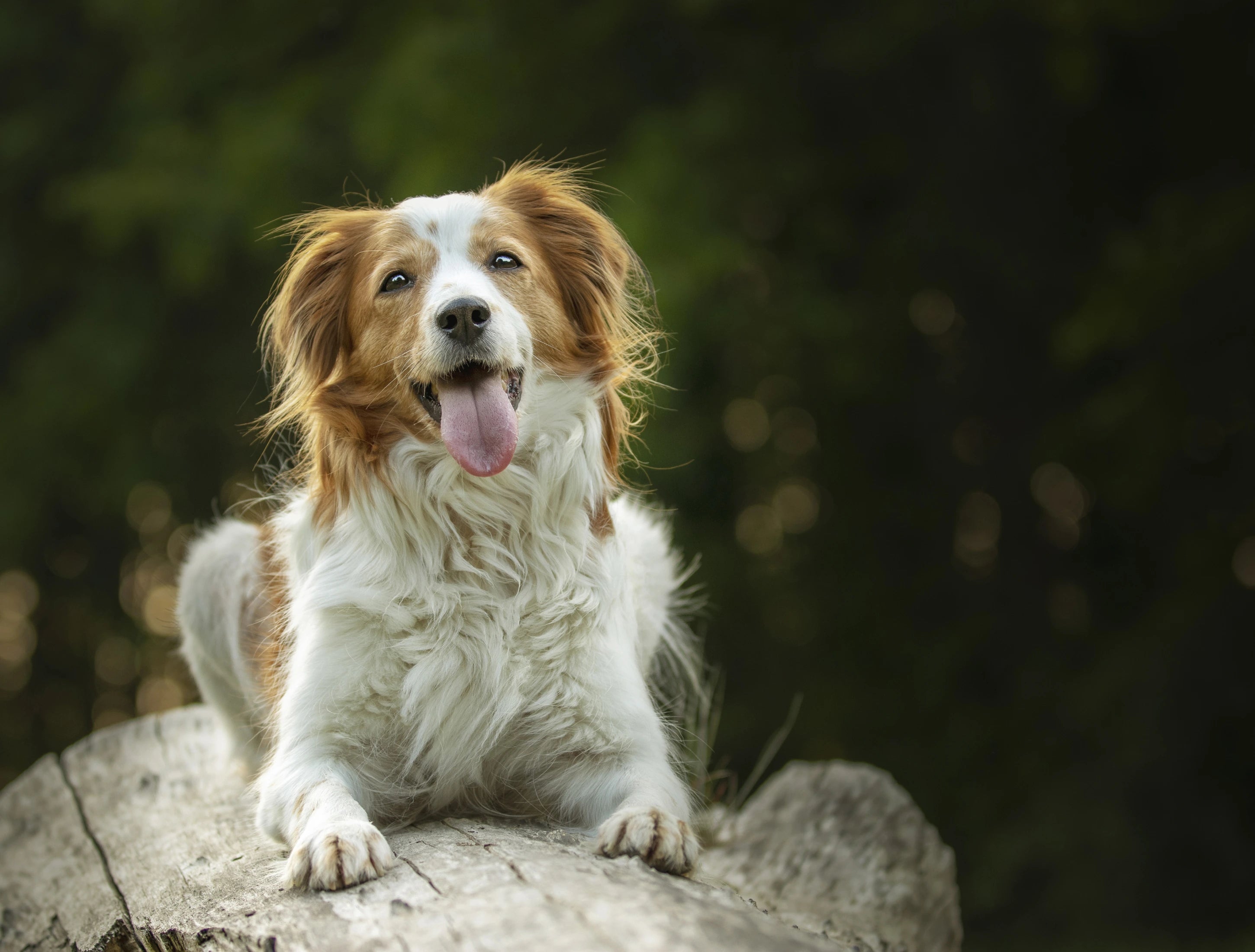 slider image slider_item_dBEtPj